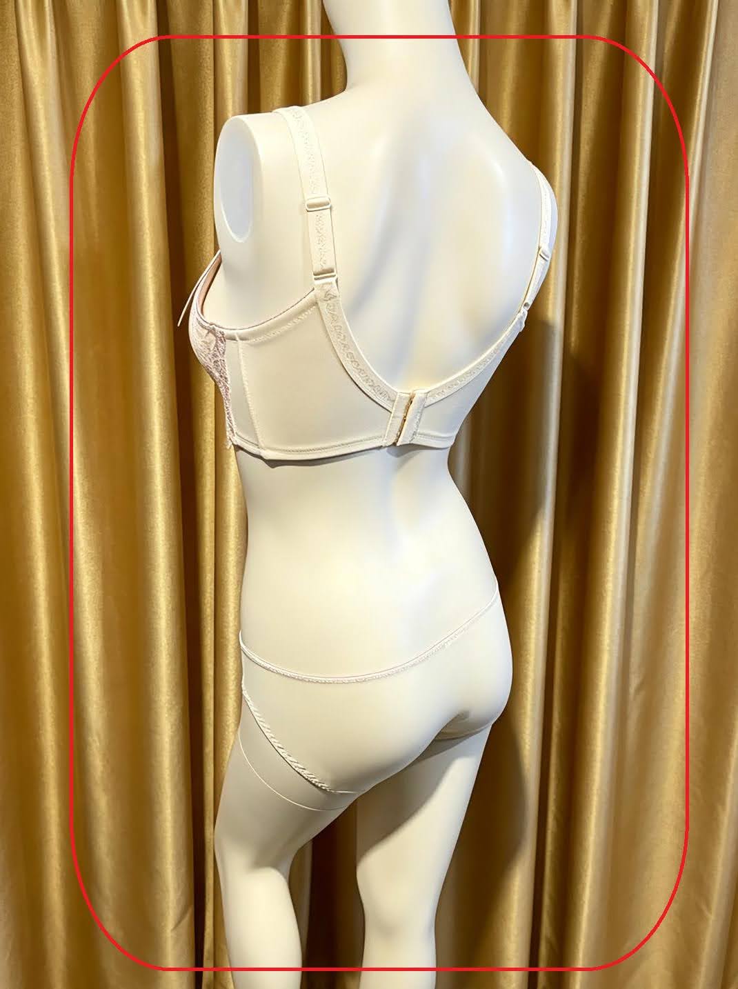 316029 溥杯型收背功能內衣 (三扣) C32-42 D-G 32-44 H34-44, 內褲 _ M-XL 圖片 2