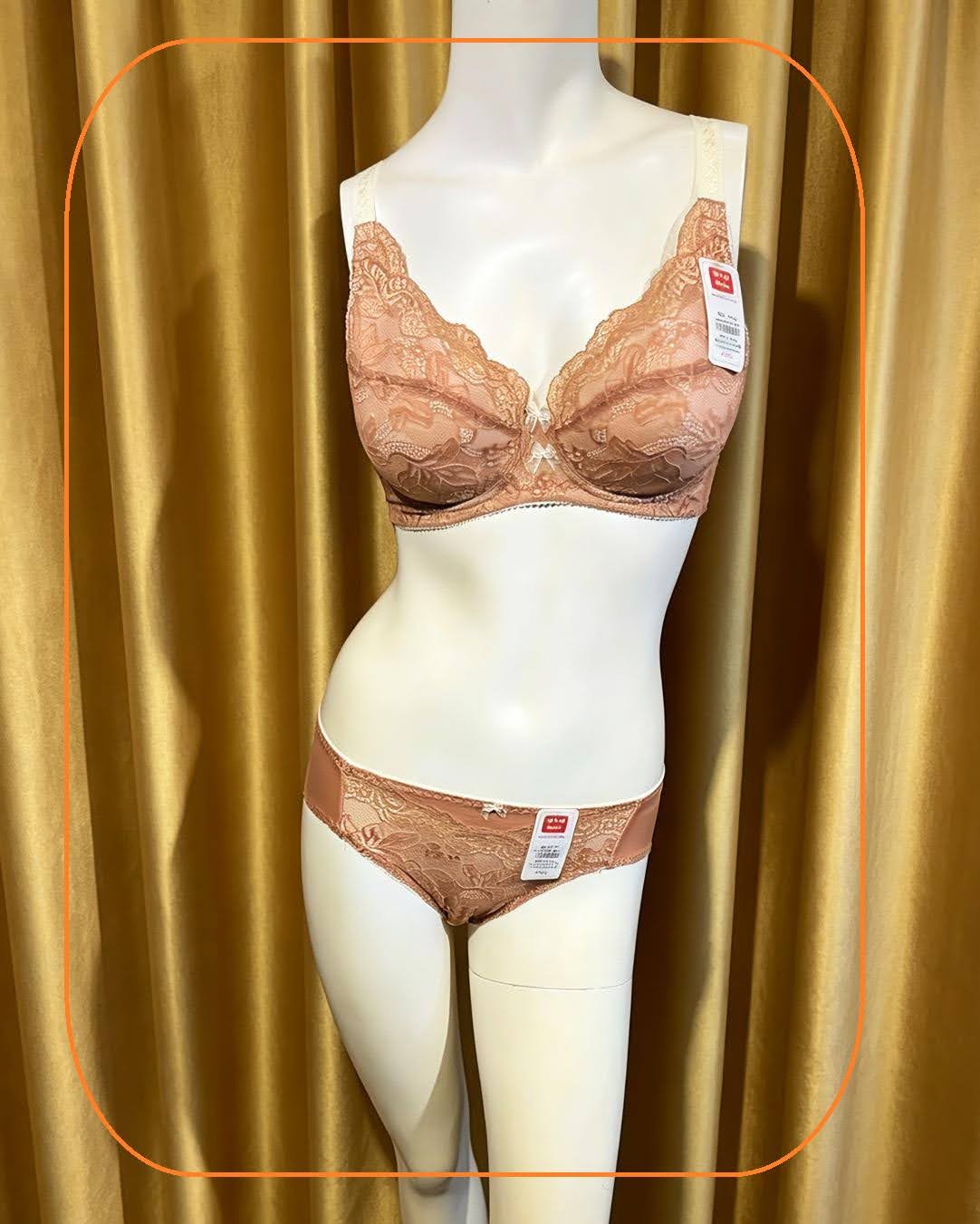 316029 溥杯型收背功能內衣 (三扣) C32-42 D-G 32-44 H34-44, 內褲 _ M-XL 圖片 5