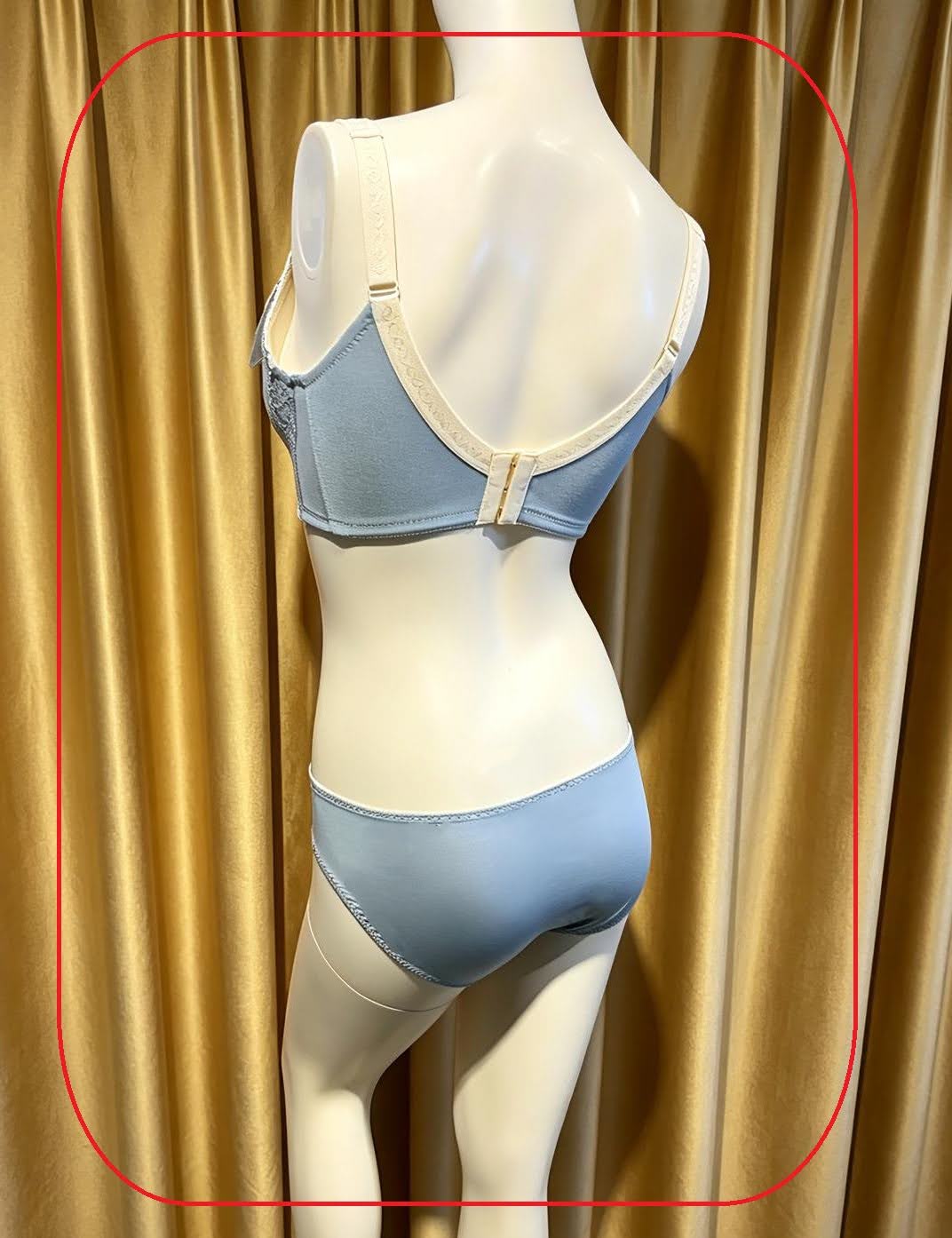 316029 溥杯型收背功能內衣 (三扣) C32-42 D-G 32-44 H34-44, 內褲 _ M-XL 圖片 19
