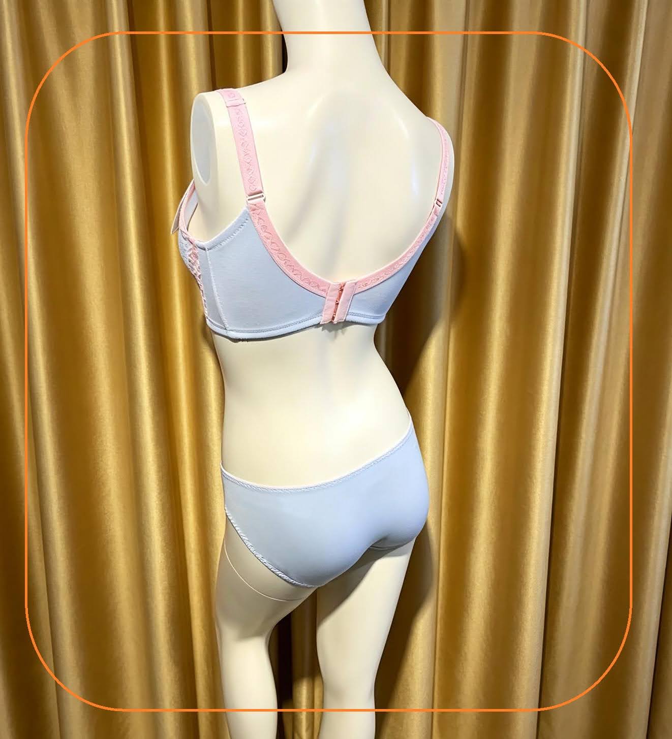 317036 溥杯型收背功能內衣 (三扣) C32-42 D-G 32-44 H34-44, 內褲 _ M-XL 圖片 15