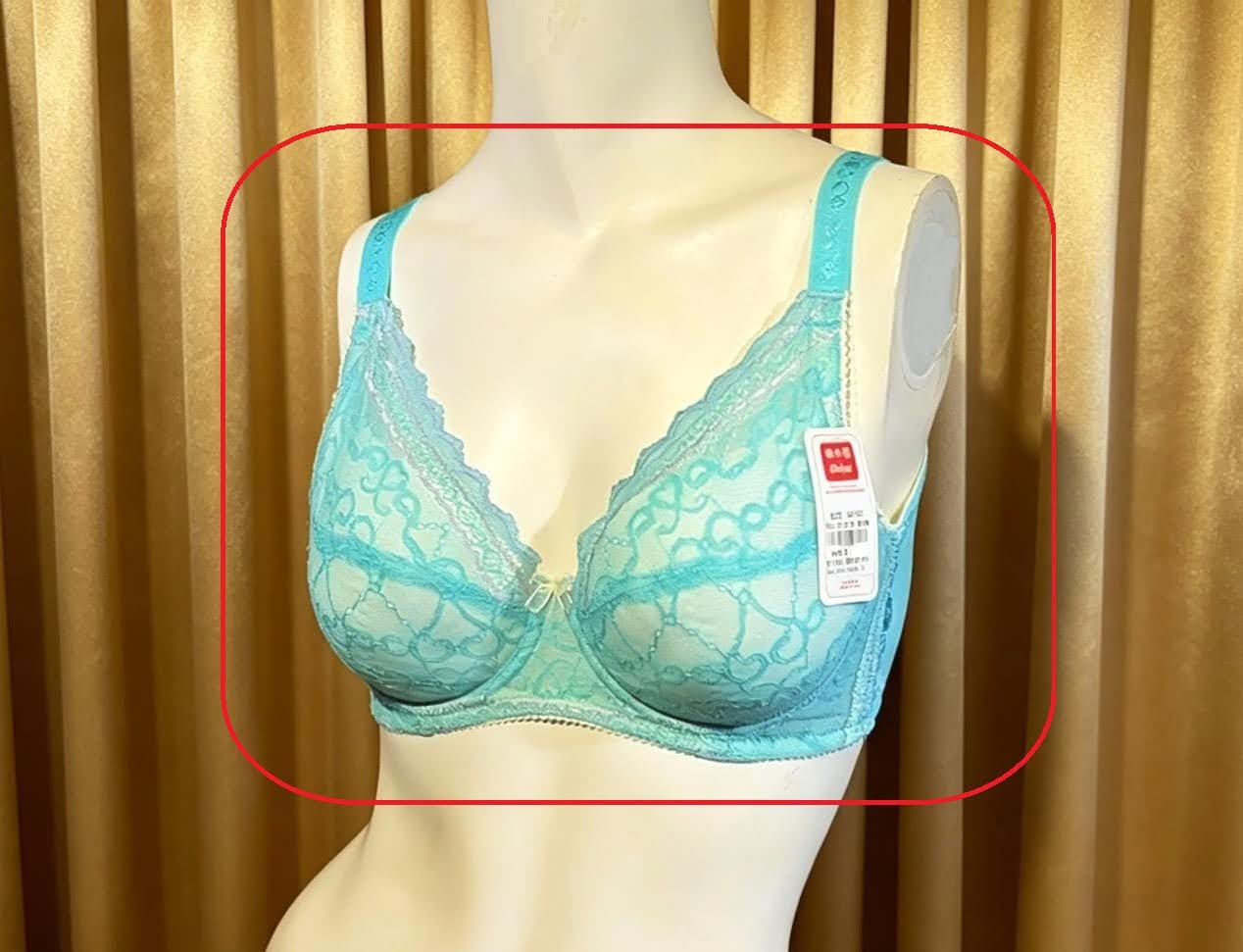 318126 溥杯功能內衣(三掛扣) C32-42 D34-44 EF 34-46, 內褲 _ L-XL 圖片 15