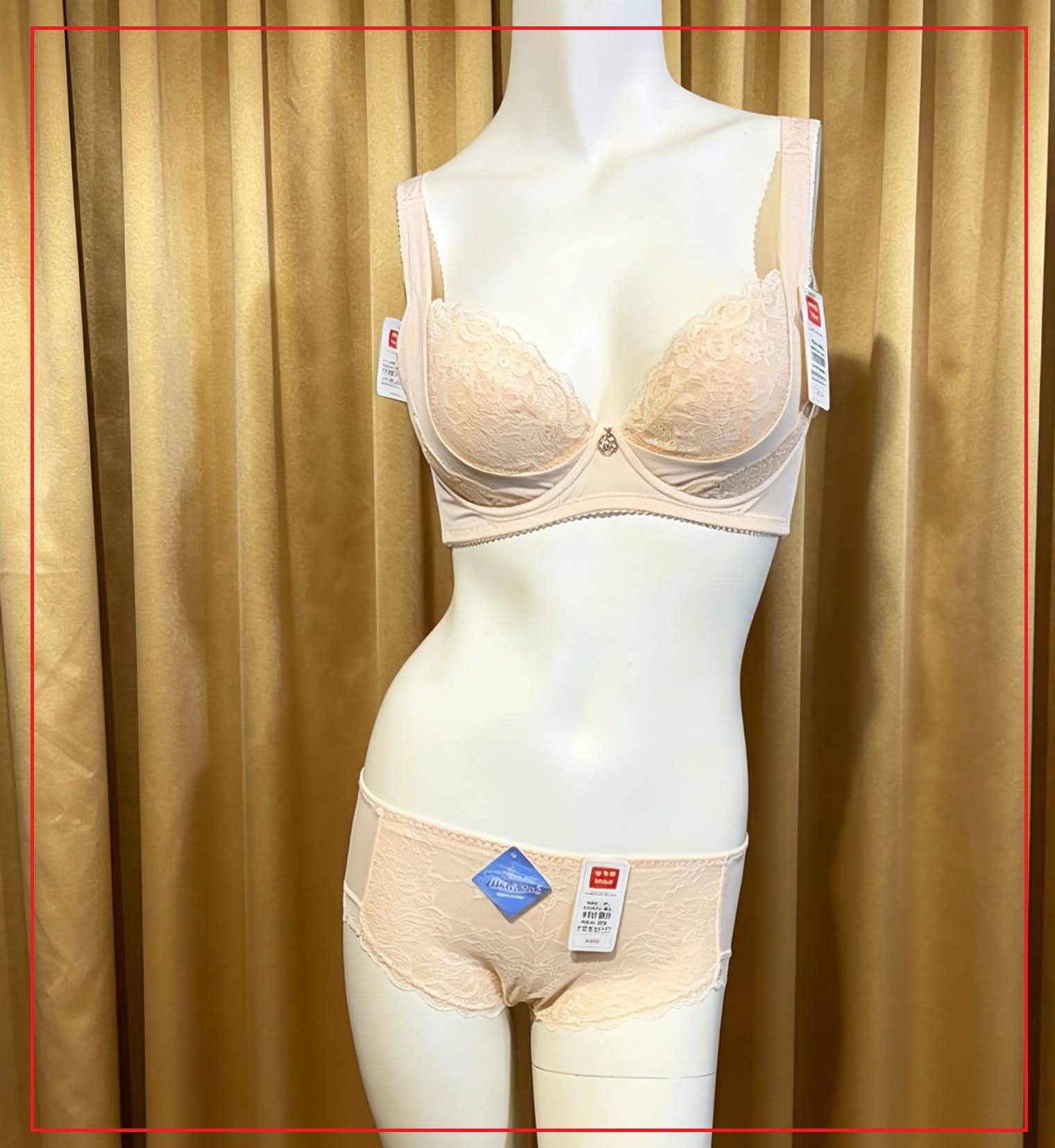 319013 溥杯型高收背內衣, C32-40 D-E32-42 PM-XL 圖片 4