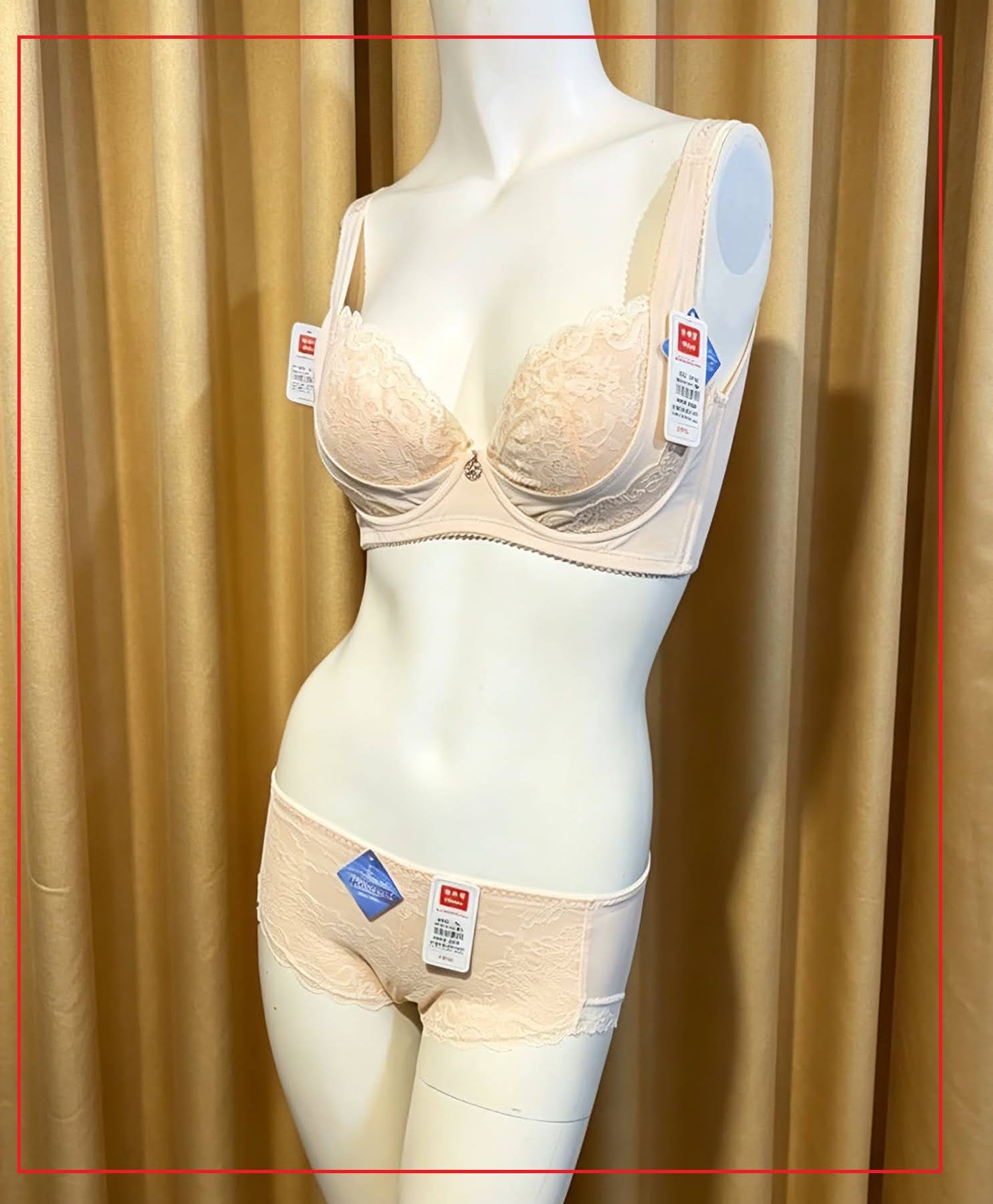 319013 溥杯型高收背內衣, C32-40 D-E32-42 PM-XL 圖片 13