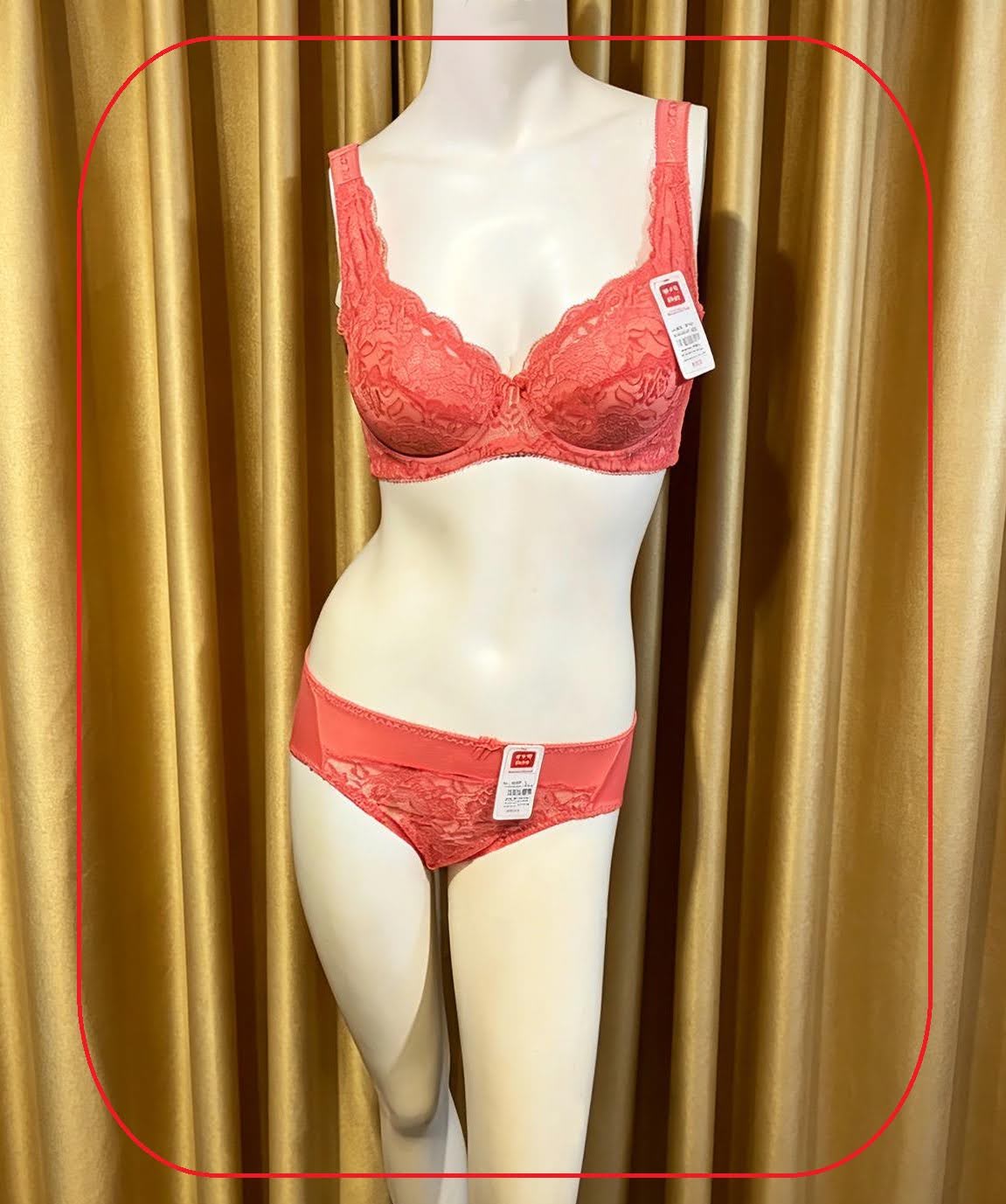319062 溥杯型高收背功能內衣(四扣) C32-42 D-G 34-44, 內褲_ M-XL 圖片 3