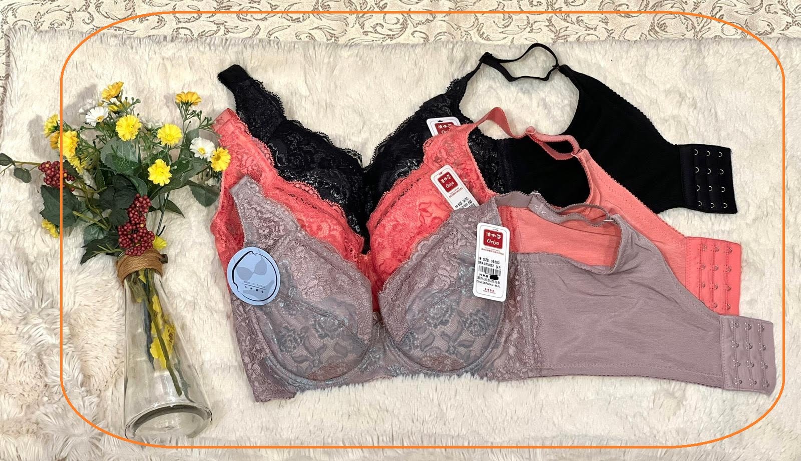 319062 溥杯型高收背功能內衣(四扣) C32-42 D-G 34-44, 內褲_ M-XL 圖片 4