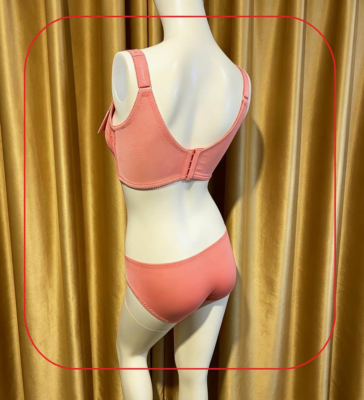 319062 溥杯型高收背功能內衣(四扣) C32-42 D-G 34-44, 內褲_ M-XL 圖片 6