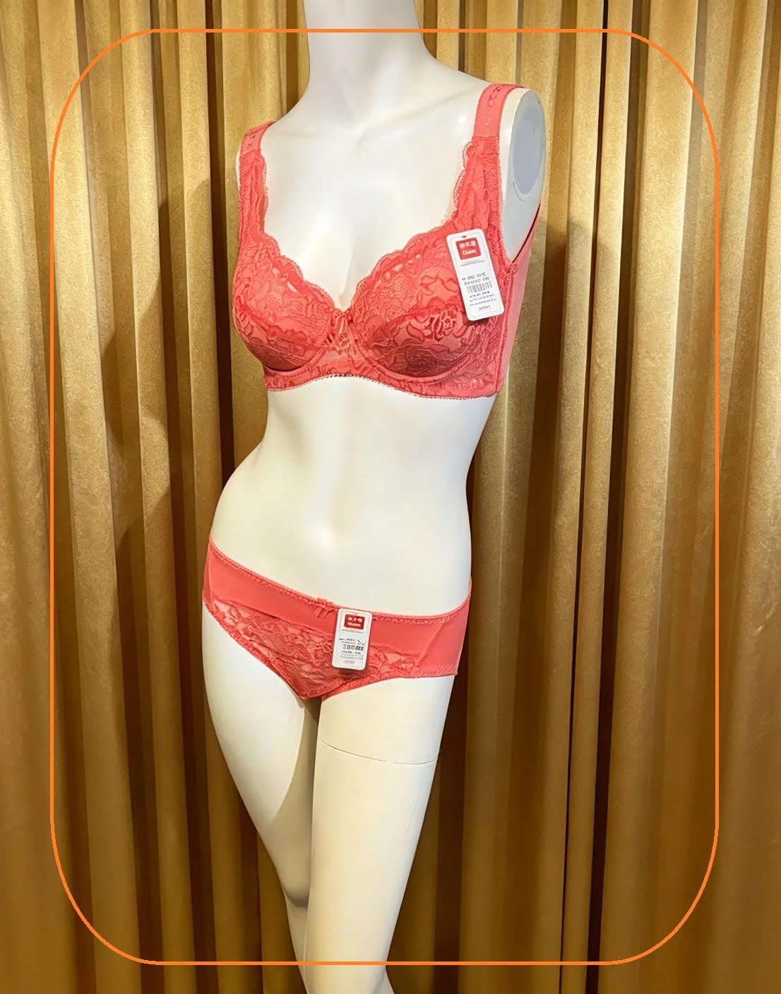 319062 溥杯型高收背功能內衣(四扣) C32-42 D-G 34-44, 內褲_ M-XL 圖片 8
