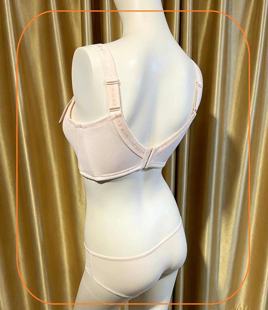 321019 溥杯型功能內衣(三排扣) C-D32-42 E-G32-44 H34-44, 內褲 _ M-XL 圖片 5