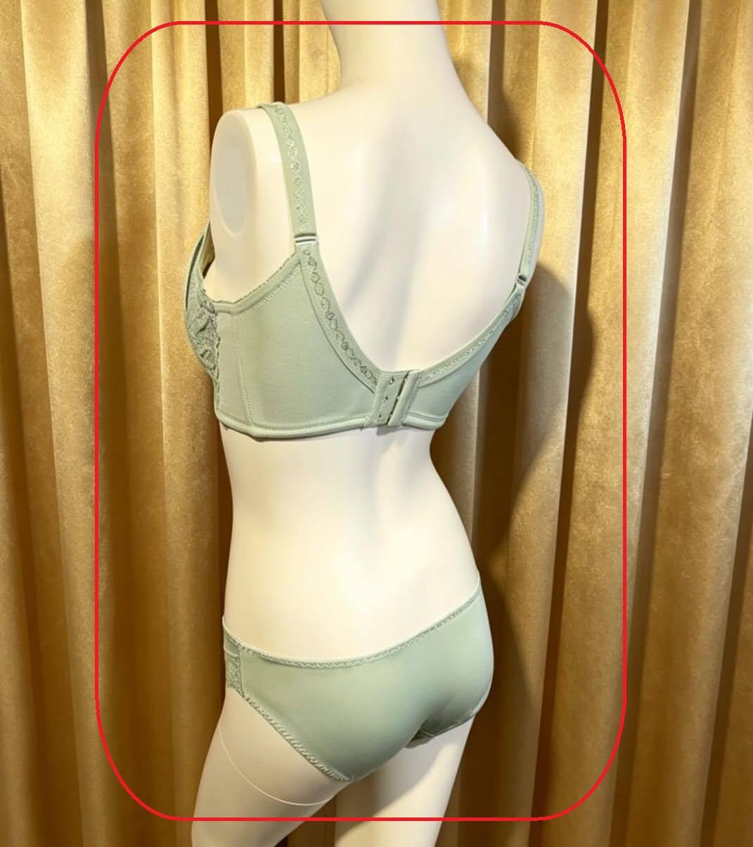 321079 溥杯型功能內衣(三排扣) C 32-42 D 32-44 E-F-G 32-46, 內褲 _ L-XL 圖片 5