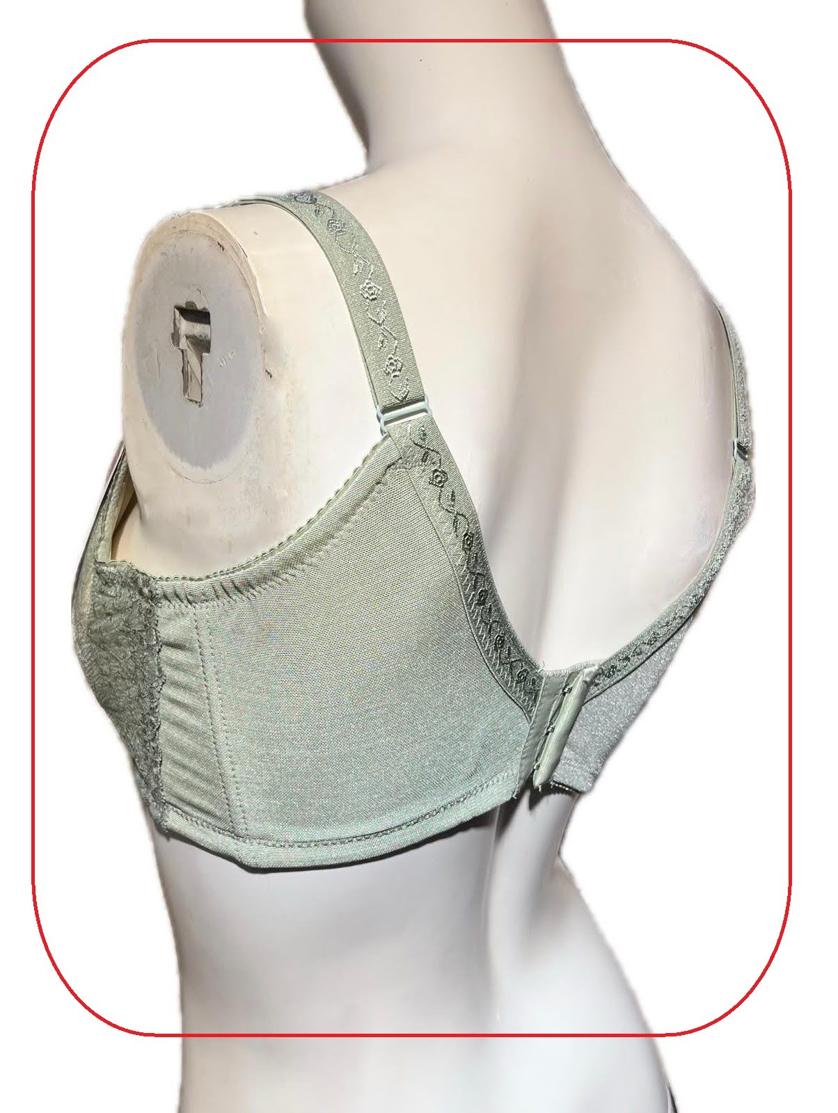 321079 溥杯型功能內衣(三排扣) C 32-42 D 32-44 E-F-G 32-46, 內褲 _ L-XL 圖片 10