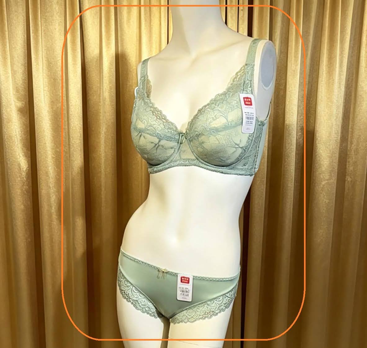 321079 溥杯型功能內衣(三排扣) C 32-42 D 32-44 E-F-G 32-46, 內褲 _ L-XL 圖片 12