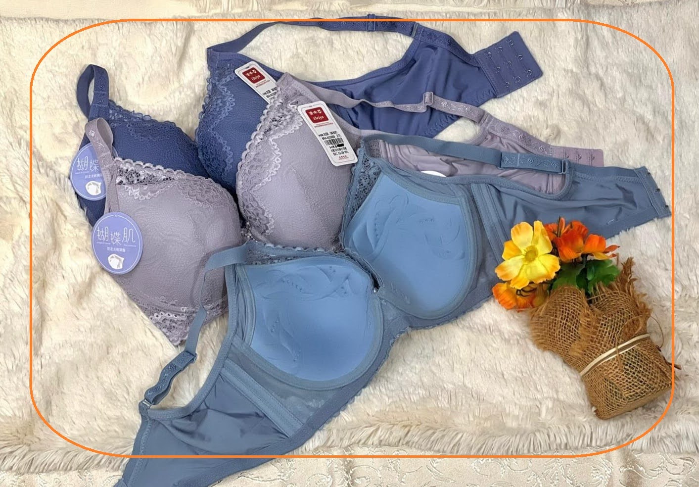 323009 軟綱圈功能內衣, B-C32-38 PM-L 圖片 6
