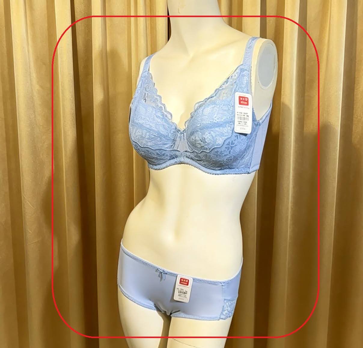 321062 溥杯型功能內衣 C32-42, D-E-F-G-H 32-44 PM-XL 圖片 10