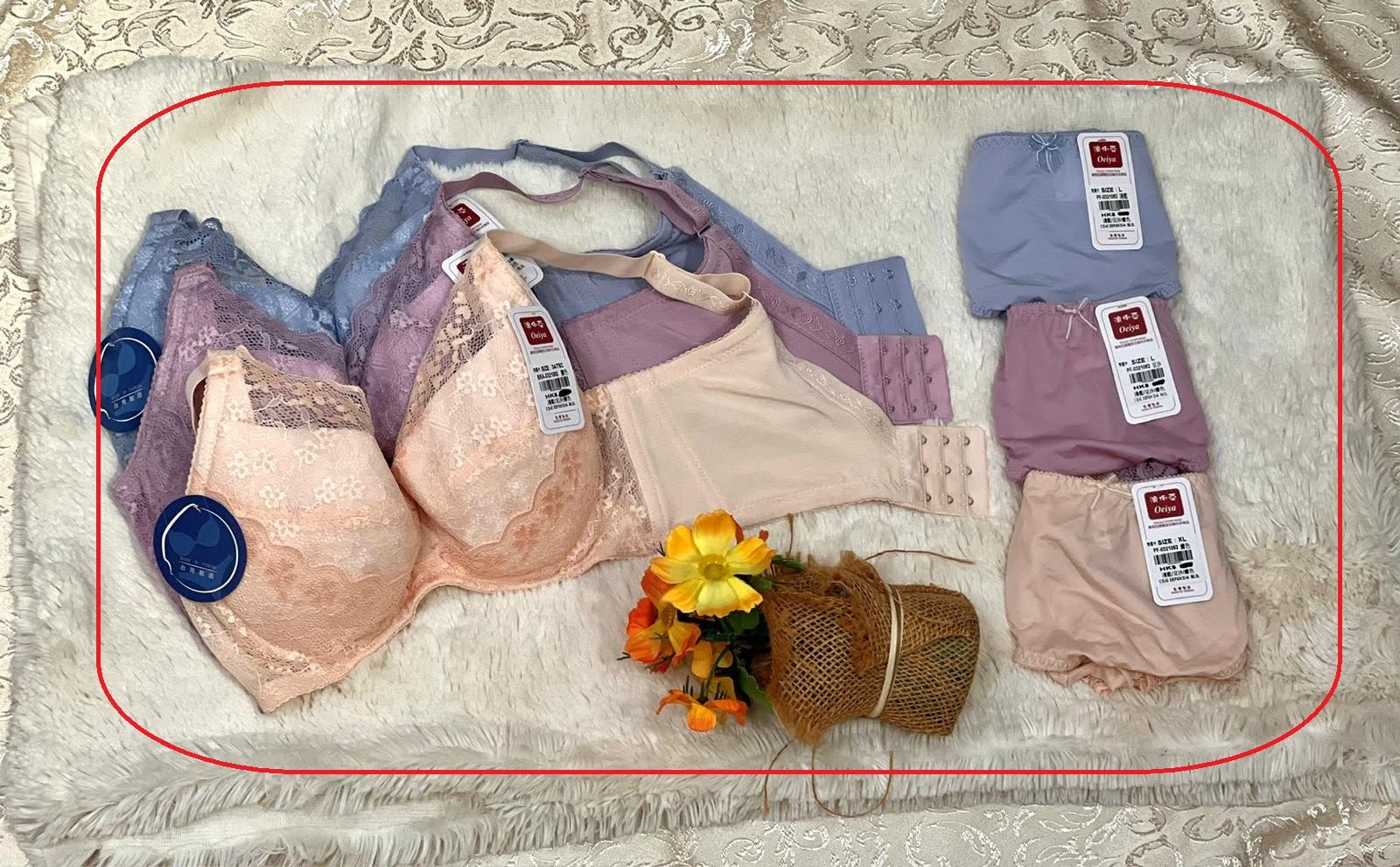 321062 溥杯型功能內衣 C32-42, D-E-F-G-H 32-44 PM-XL 圖片 12